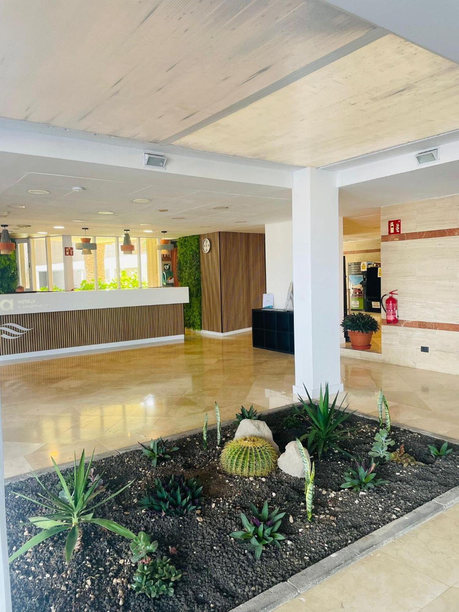 Garden View Apartment In Las Galletas 阿罗纳 外观 照片